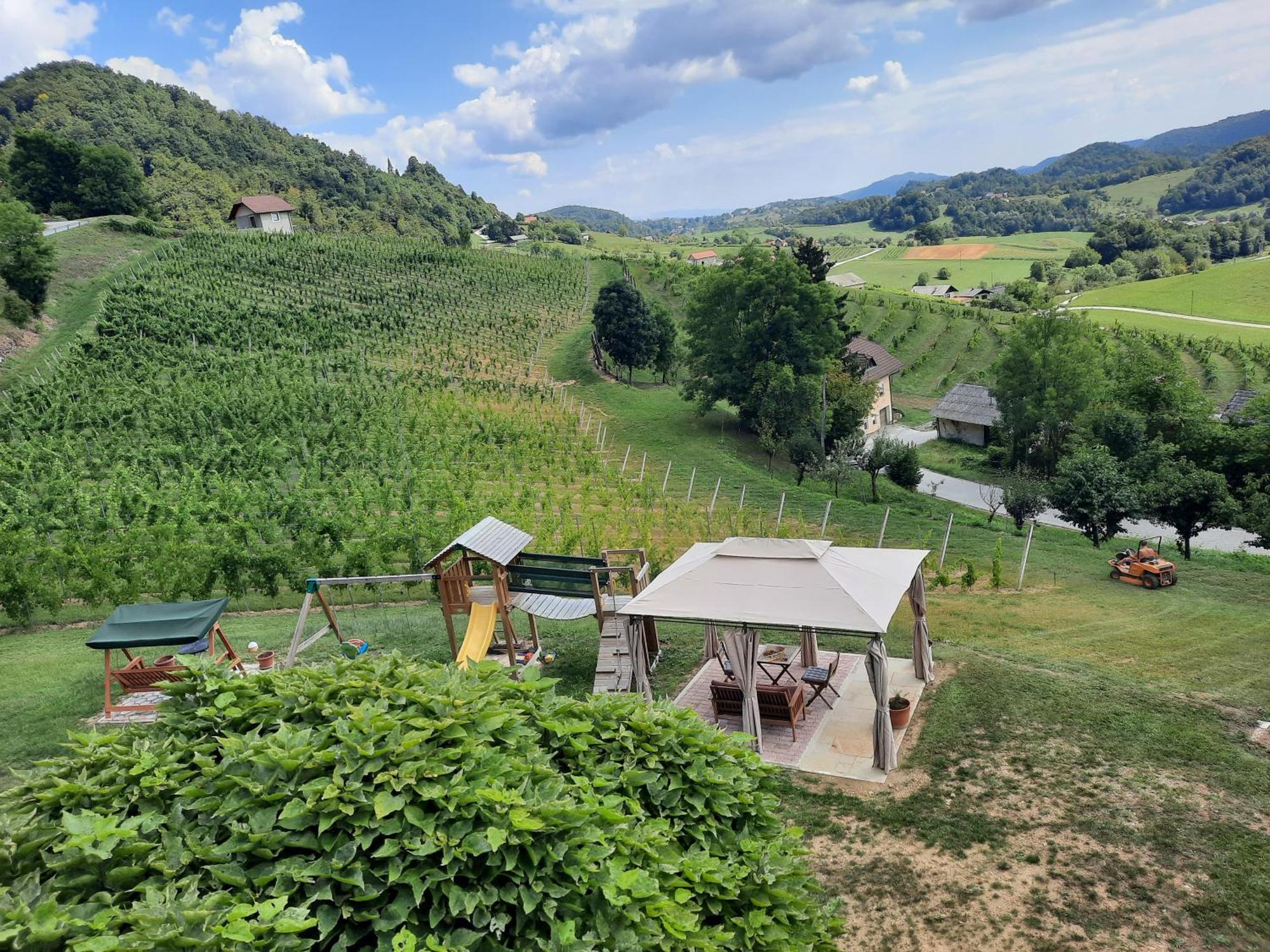 Villa Grobelnik Tourist Farm à Sevnica Extérieur photo