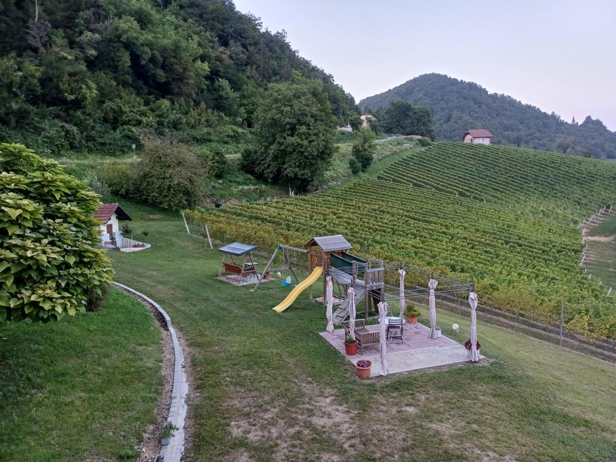 Villa Grobelnik Tourist Farm à Sevnica Extérieur photo