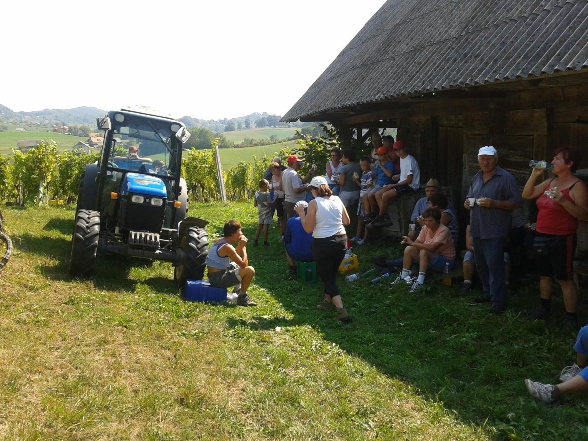 Villa Grobelnik Tourist Farm à Sevnica Extérieur photo
