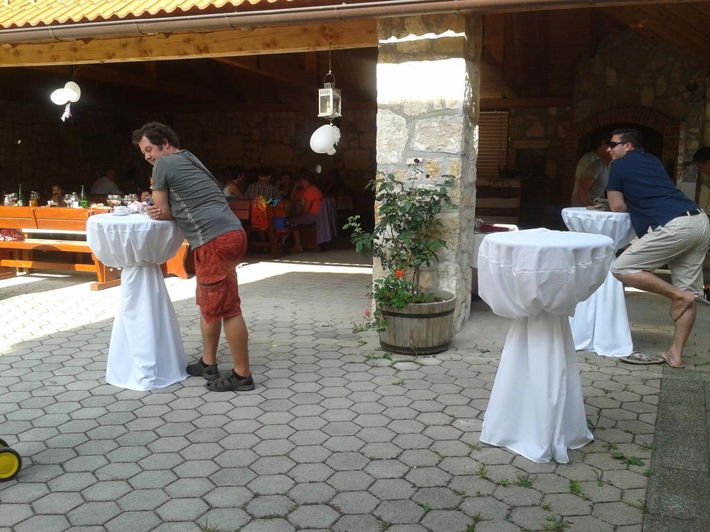 Villa Grobelnik Tourist Farm à Sevnica Extérieur photo