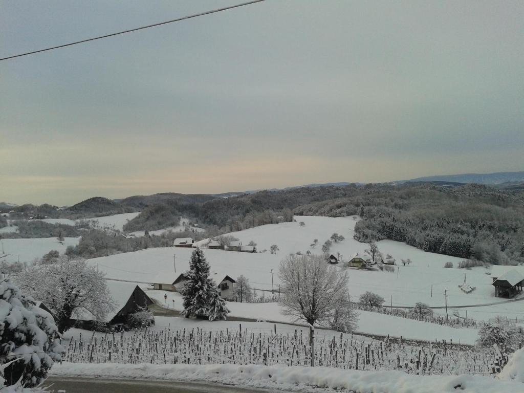 Villa Grobelnik Tourist Farm à Sevnica Chambre photo